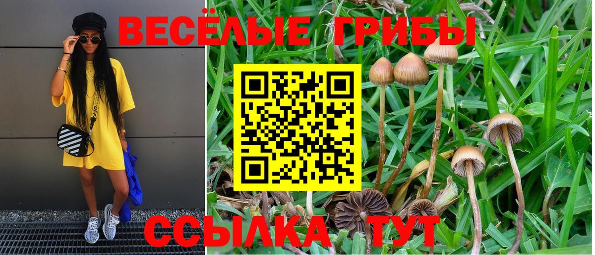 Псилоцибиновые грибы Magic Shrooms  Вход с VPN  Алексеевка 