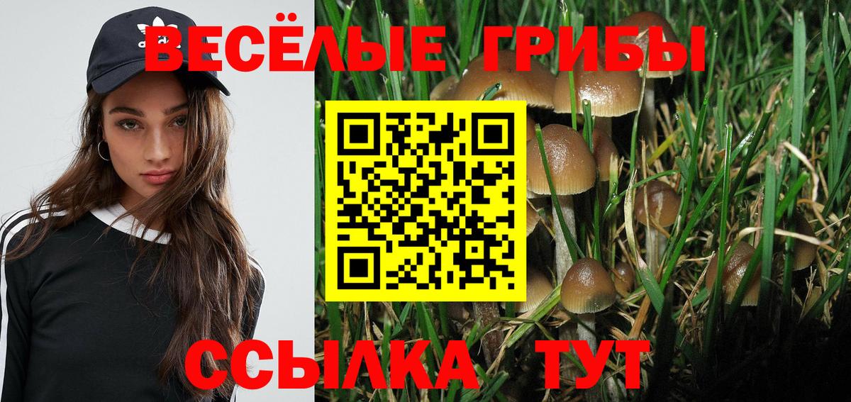 Псилоцибиновые грибы ЛСД Алексеевка